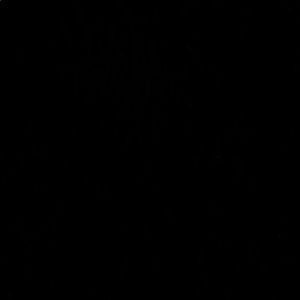 Meet your Posher, Timothy